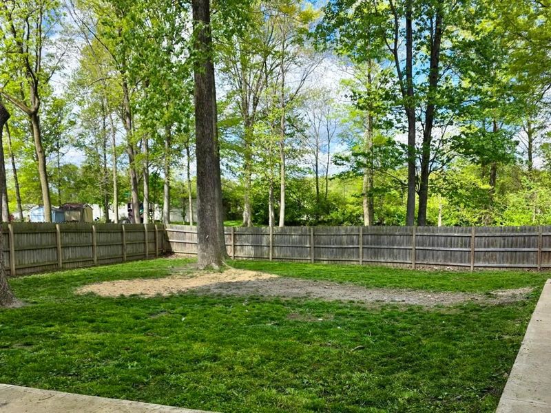 3941 Bluebird Court, Westerville, OH 43081 Photo 6