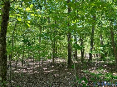 Lot 6 Buffalo Church Rd., Pamplin, VA 23958