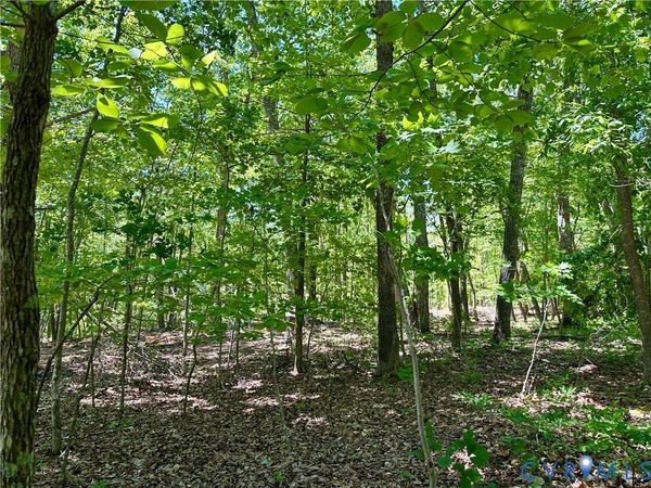 Lot 6 Buffalo Church Rd., Pamplin, VA 23958