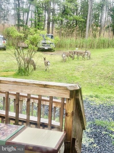 2420 TODDVILLE ROAD, WINGATE, MD 21675