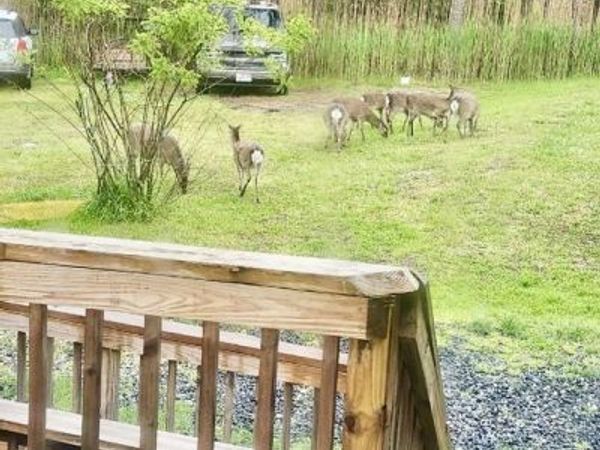 2420 TODDVILLE ROAD, WINGATE, MD 21675