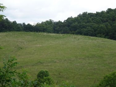 521 Artville Road, Wellington, KY 40387