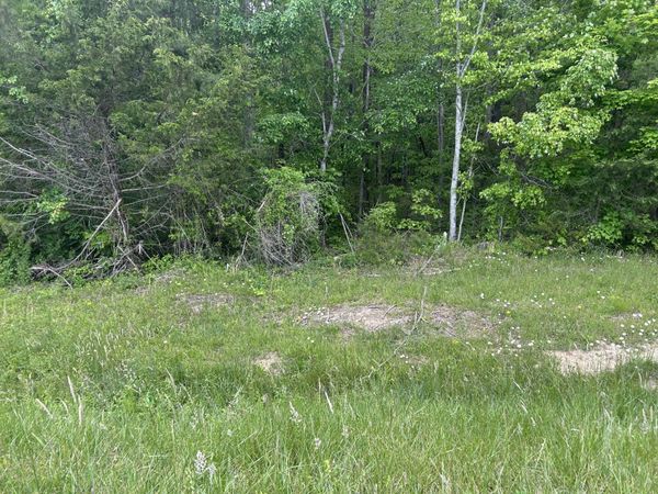 0 RT Davis Rd, Spencer, TN 38585
