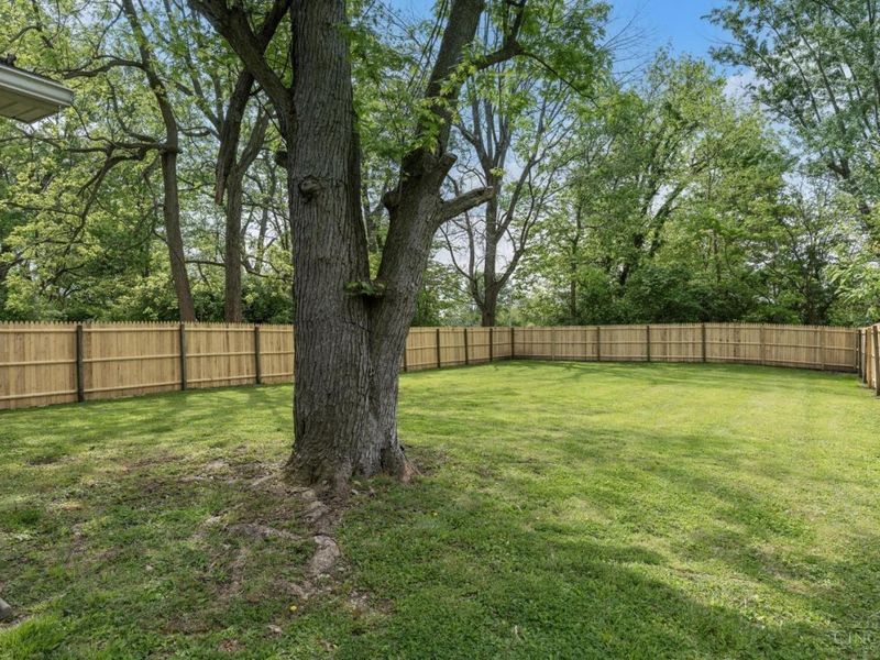 266 Hawley Avenue, Wilmington, OH 45177 Photo 6