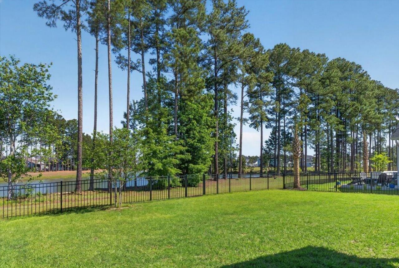 318 Calm Water Way Photo 47