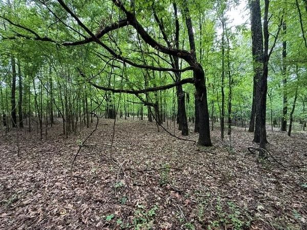 HWY 193 HWY, Collierville, TN 38017