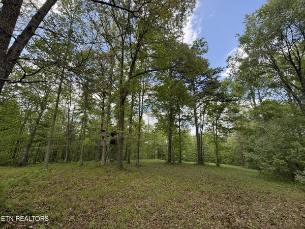 0 Scott Hwy, Helenwood, TN 37755