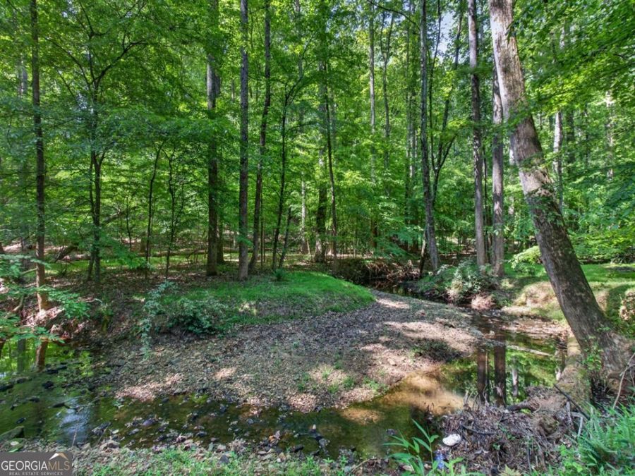 Property Image 81