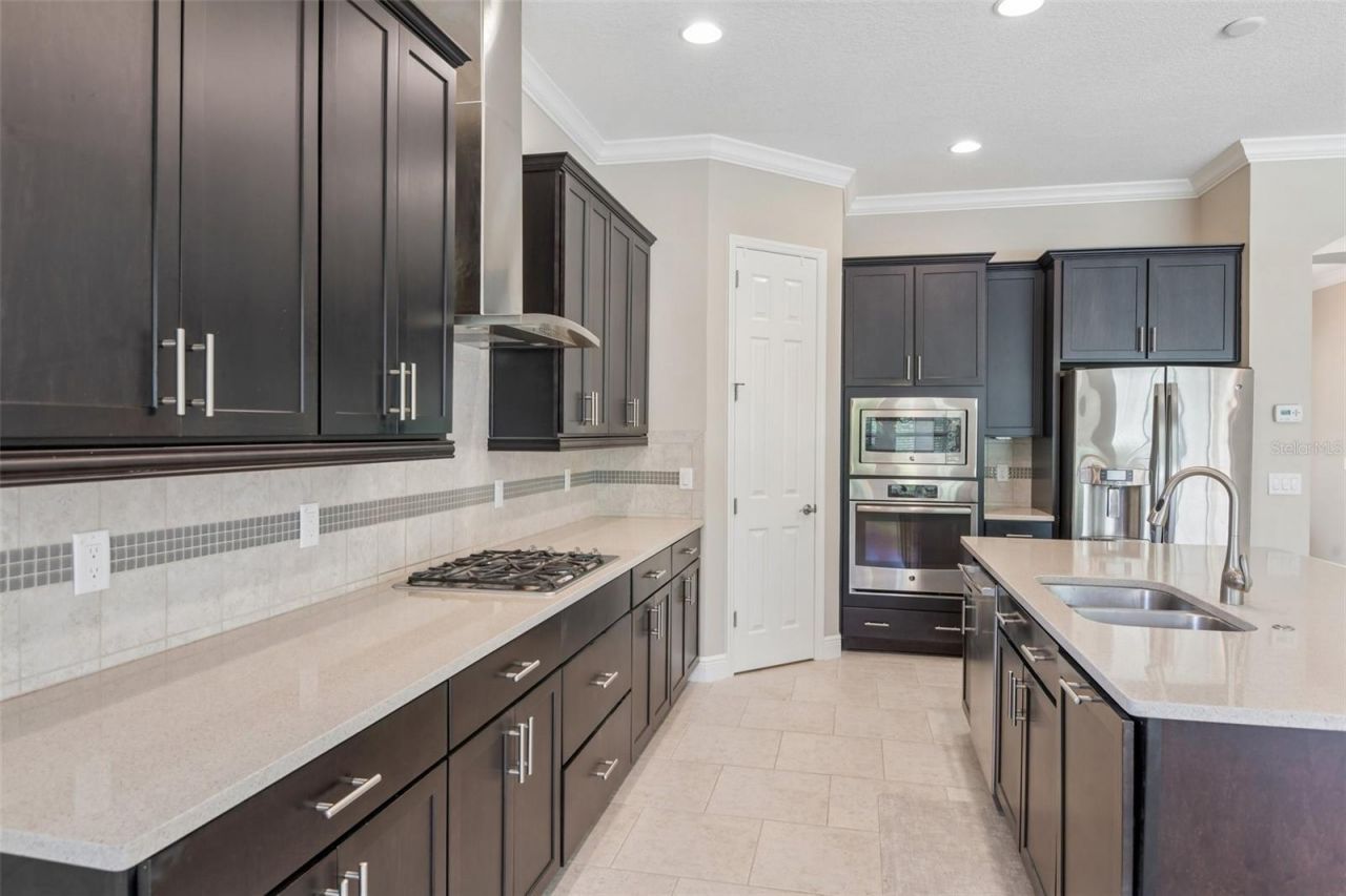 8355 Swiss Chard Circle , Land O Lakes, FL 34637 Photo