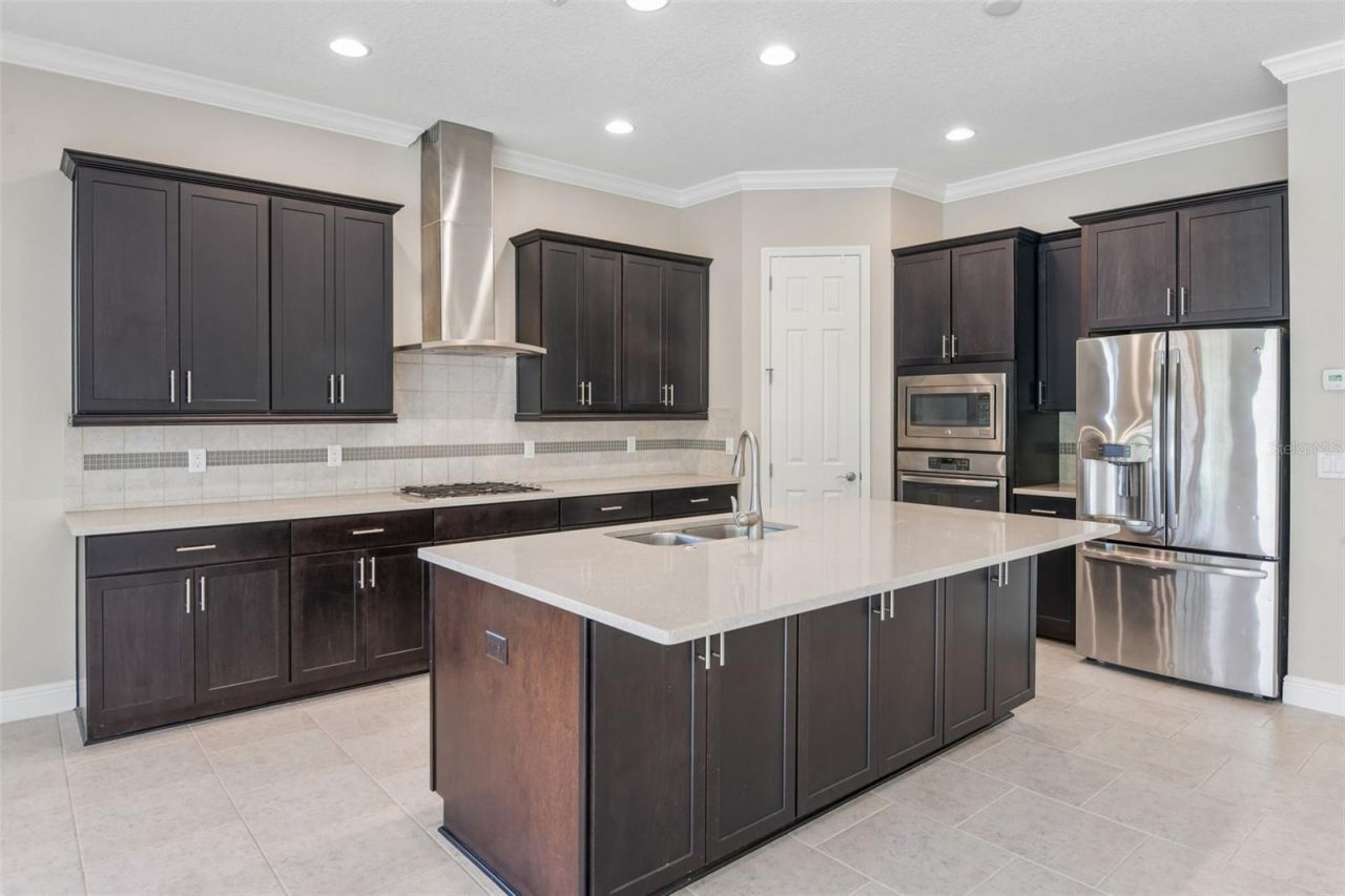 8355 Swiss Chard Circle , Land O Lakes, FL 34637 Photo
