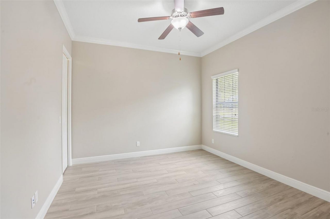 8355 Swiss Chard Circle , Land O Lakes, FL 34637 Photo