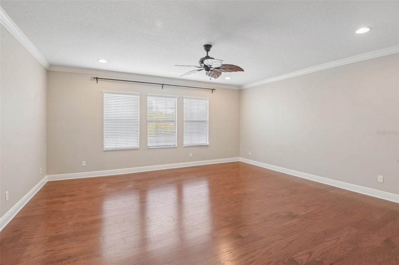 8355 Swiss Chard Circle , Land O Lakes, FL 34637 Photo