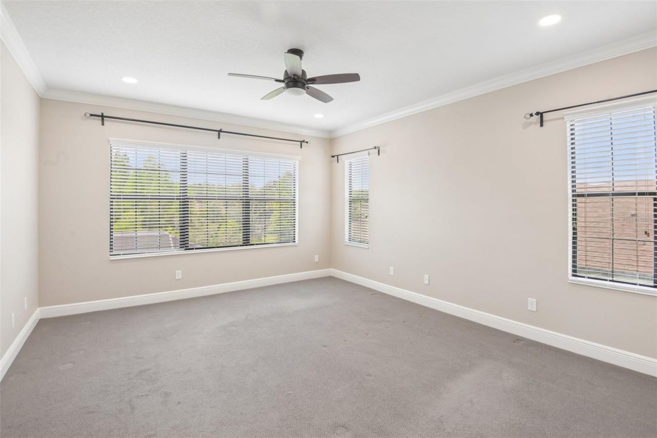8355 Swiss Chard Circle , Land O Lakes, FL 34637 Photo