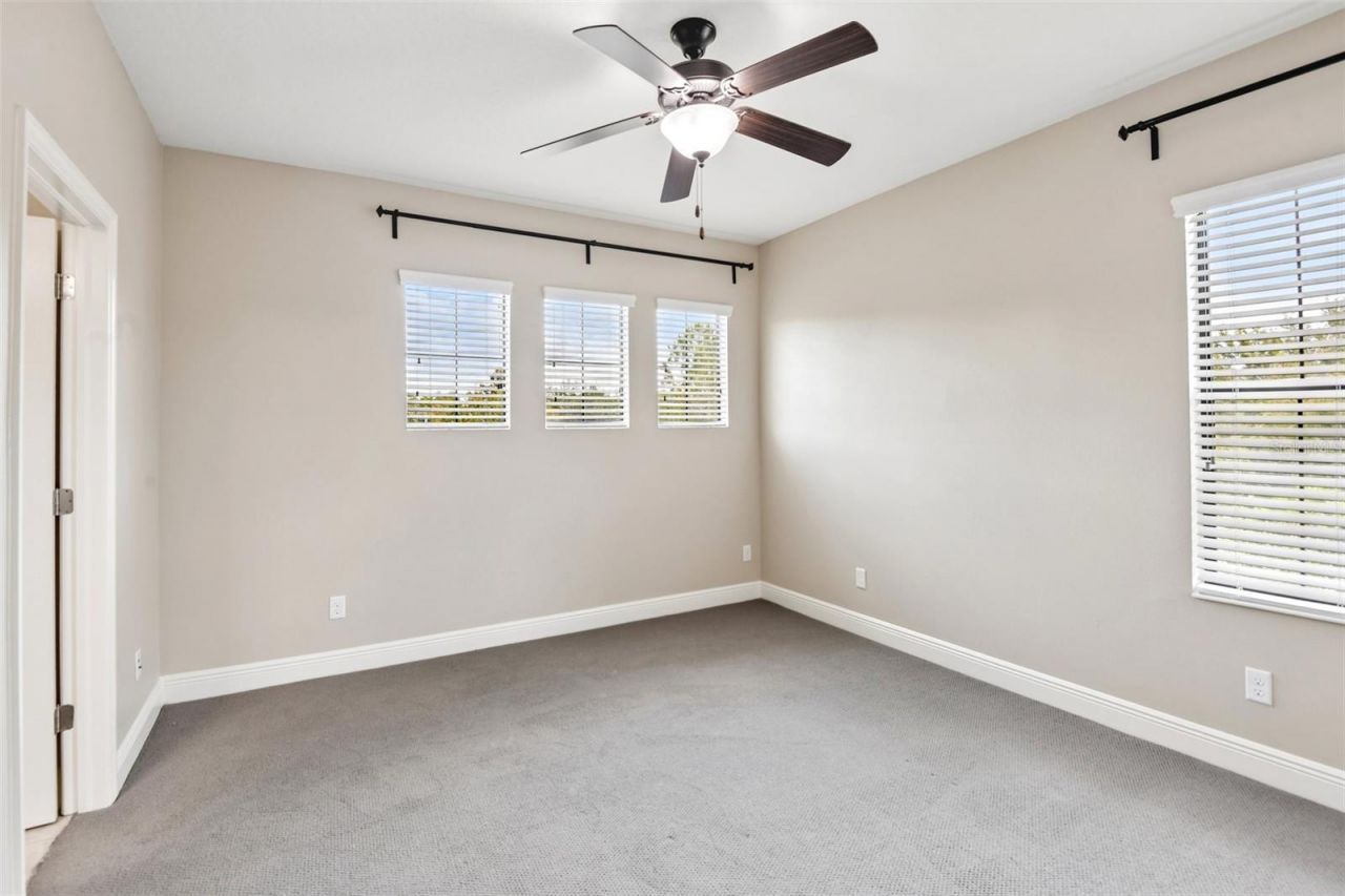 8355 Swiss Chard Circle , Land O Lakes, FL 34637 Photo