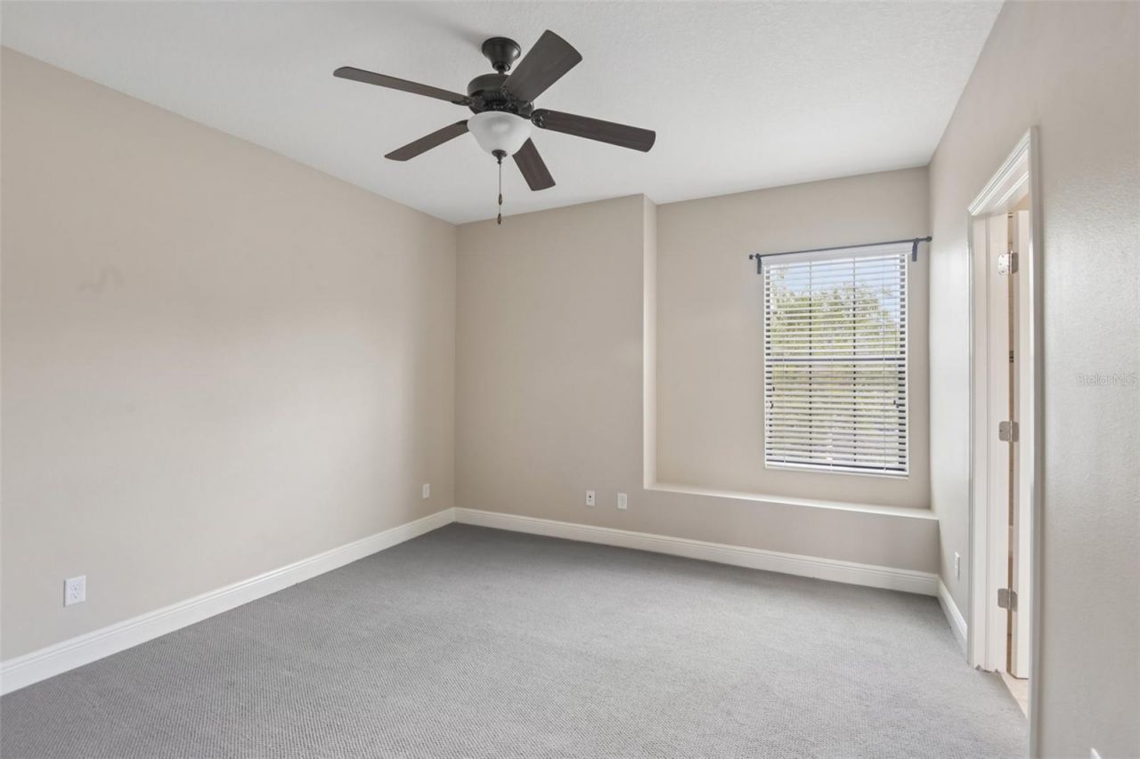 8355 Swiss Chard Circle , Land O Lakes, FL 34637 Photo
