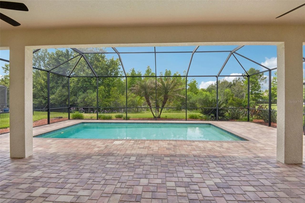 8355 Swiss Chard Circle , Land O Lakes, FL 34637 Photo