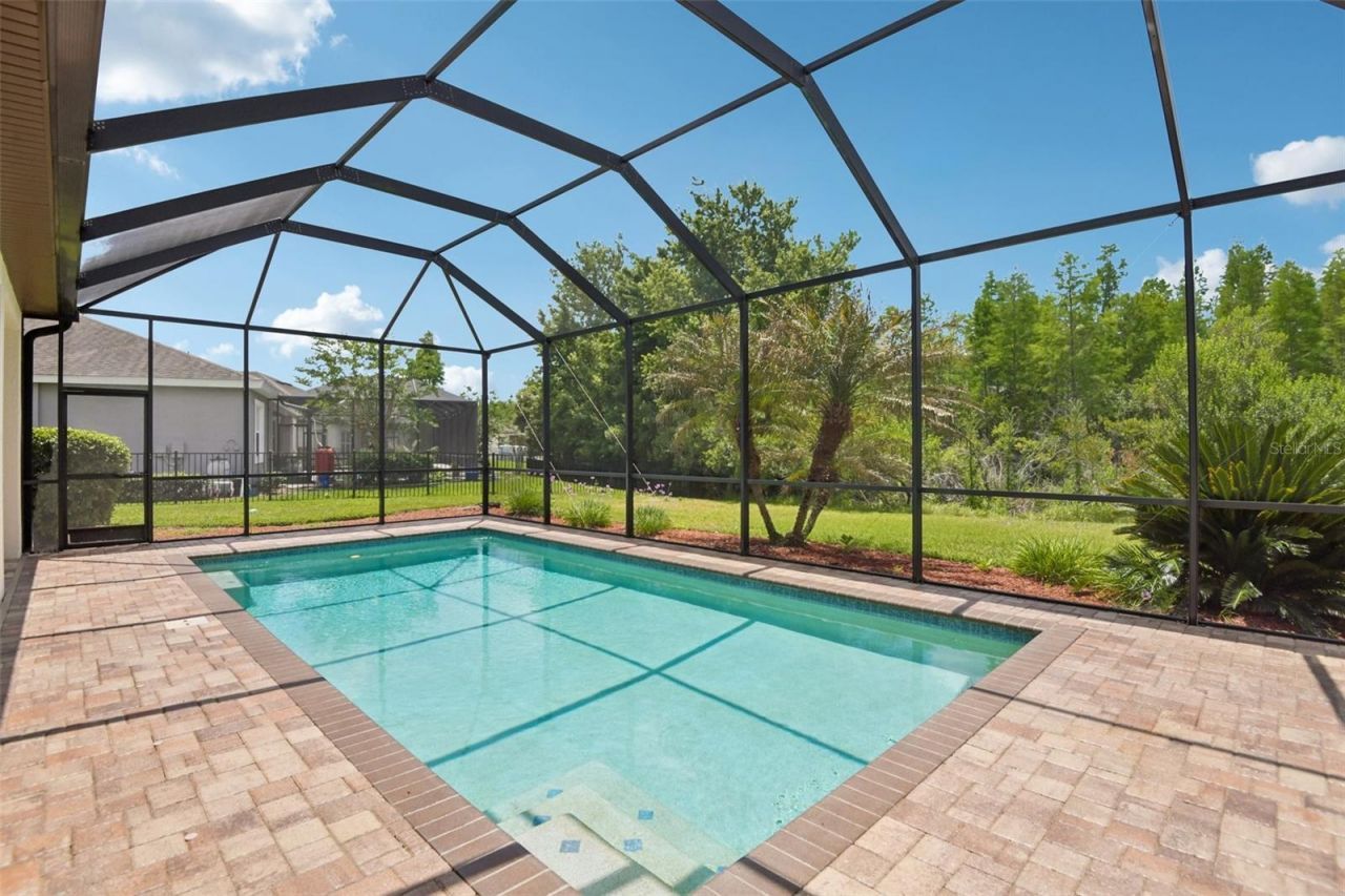 8355 Swiss Chard Circle , Land O Lakes, FL 34637 Photo