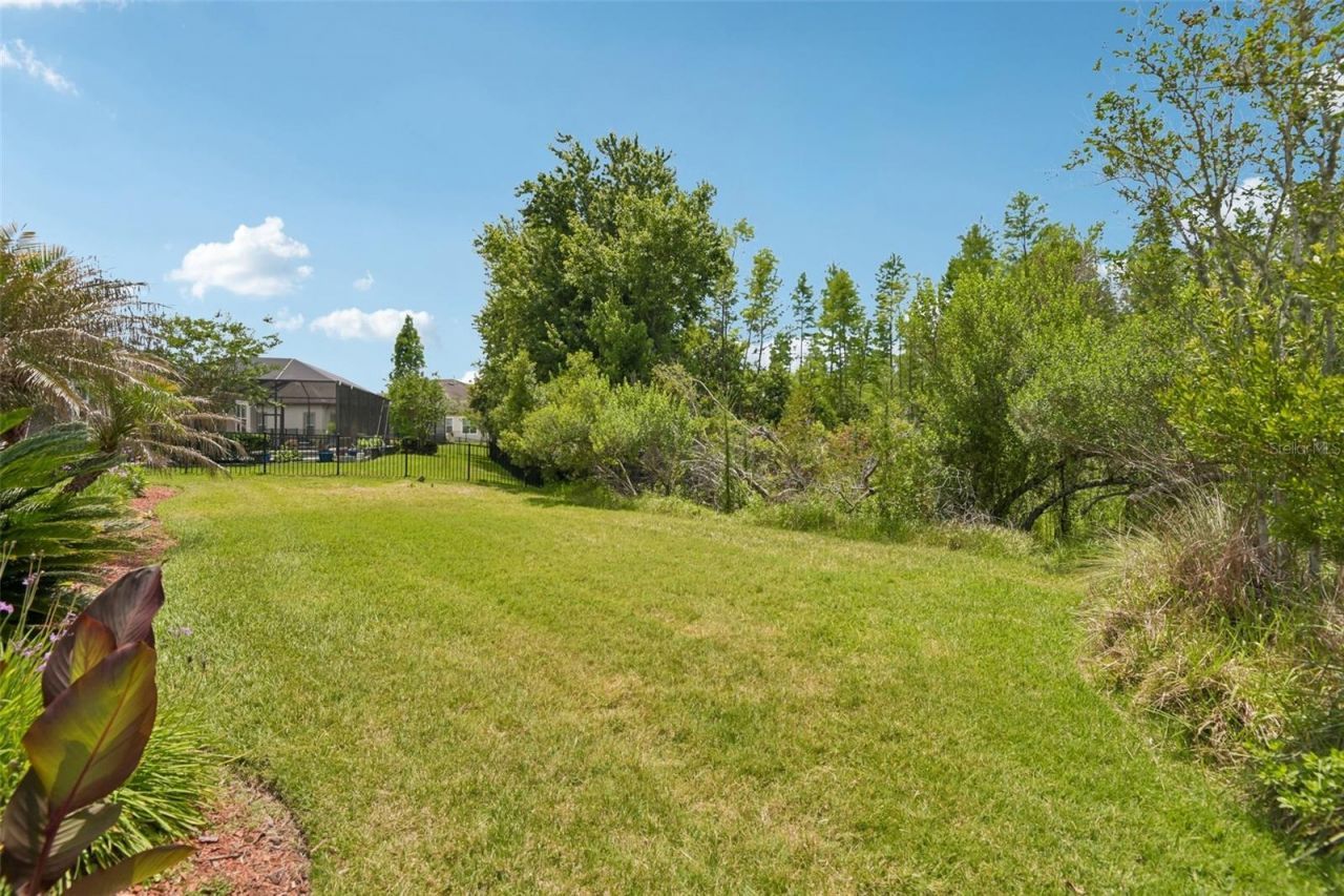 8355 Swiss Chard Circle , Land O Lakes, FL 34637 Photo