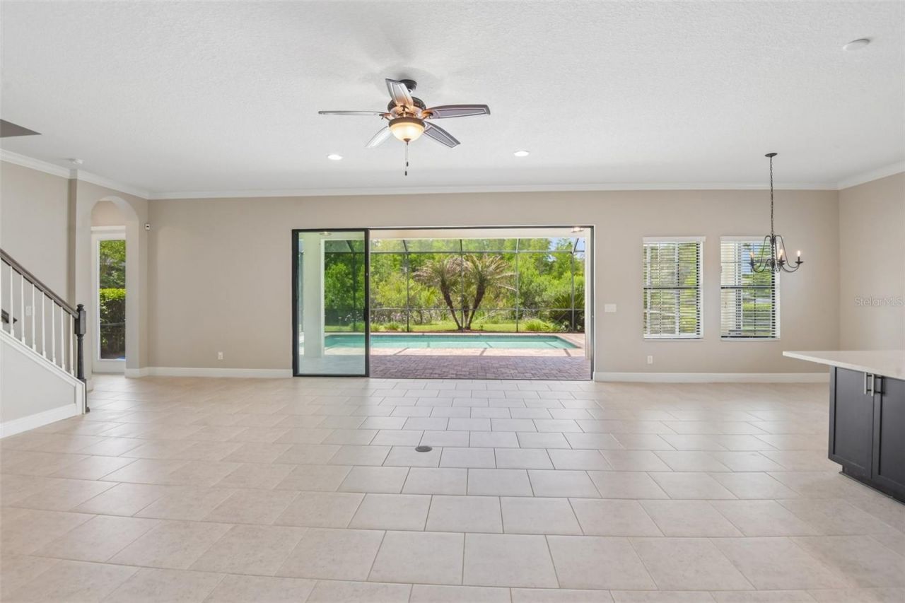 8355 Swiss Chard Circle , Land O Lakes, FL 34637 Photo