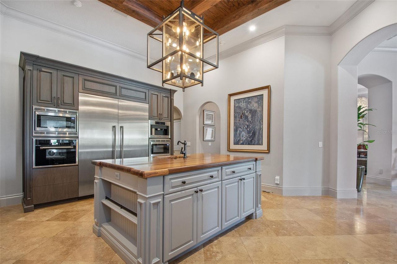 9349 Tibet Pointe Circle, Windermere, FL 34786 Photo