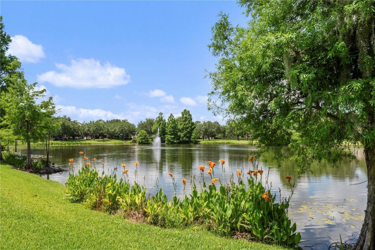 9349 Tibet Pointe Circle, Windermere, FL 34786 Photo