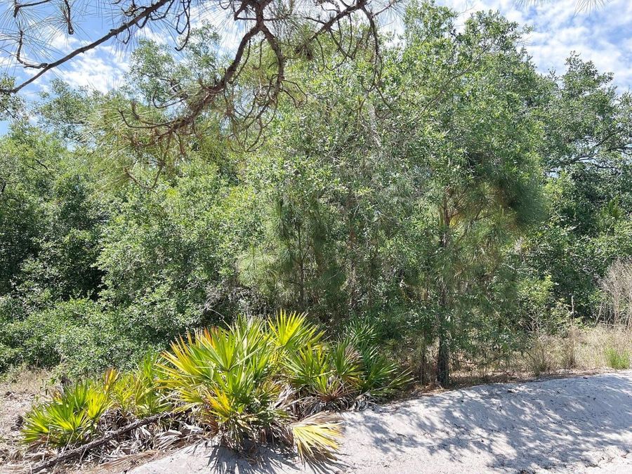 Property Image 8