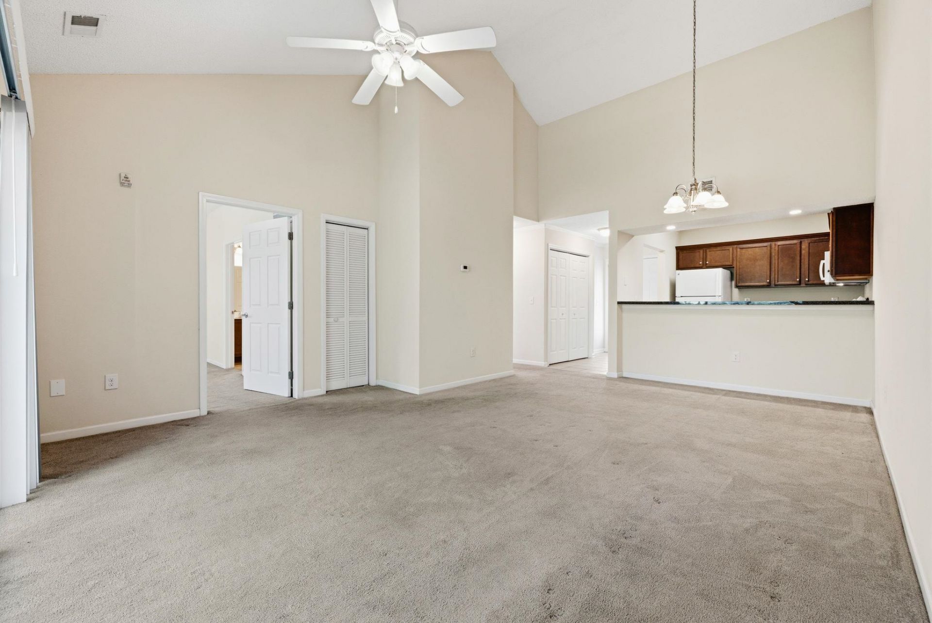 146 Scotch Broom Dr.  Photo 10