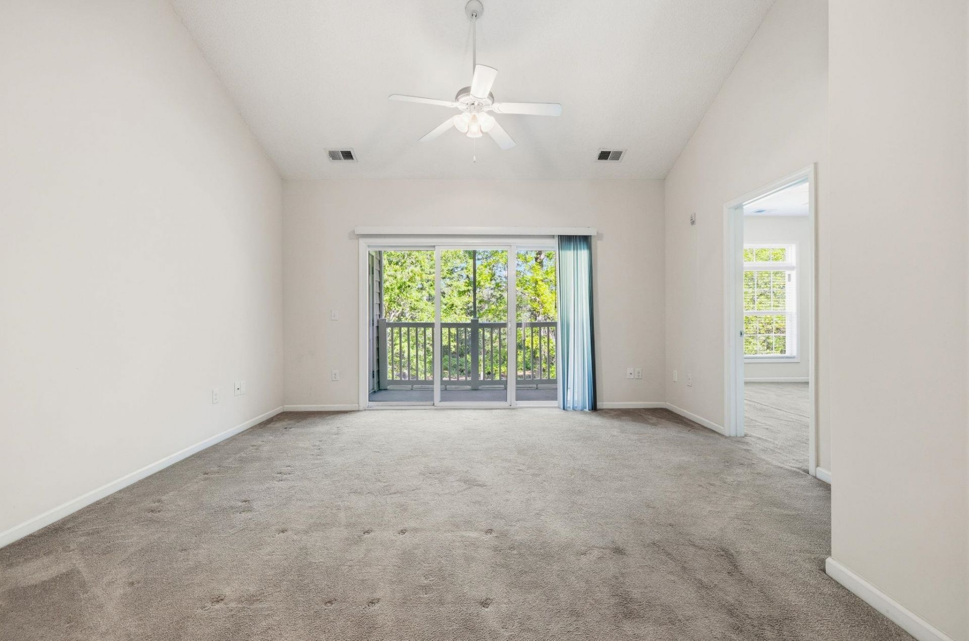 146 Scotch Broom Dr.  Photo 11