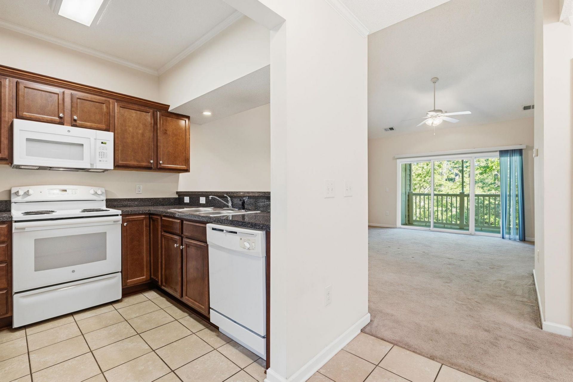 146 Scotch Broom Dr.  Photo 15