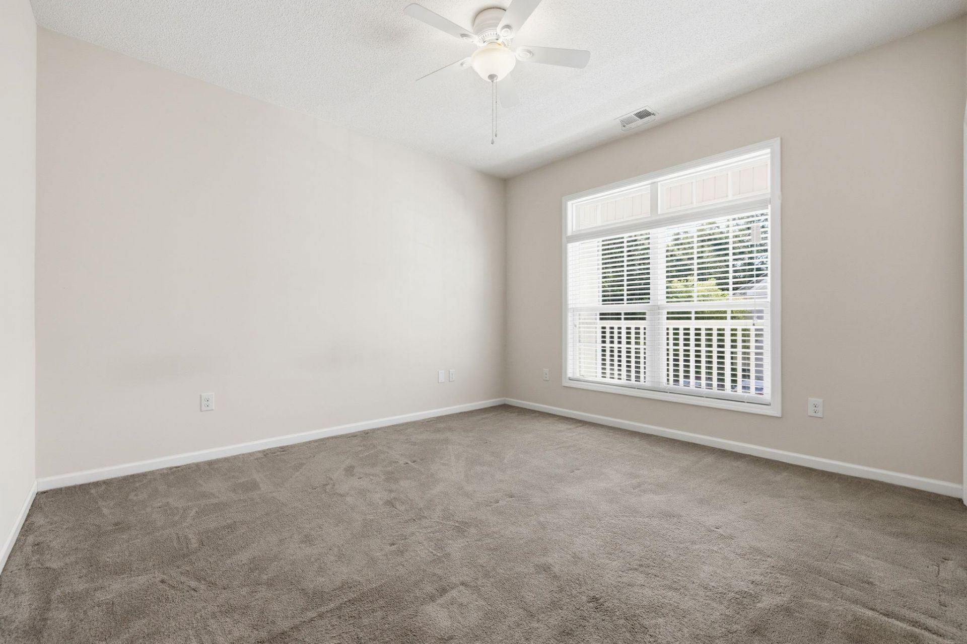 146 Scotch Broom Dr.  Photo 6