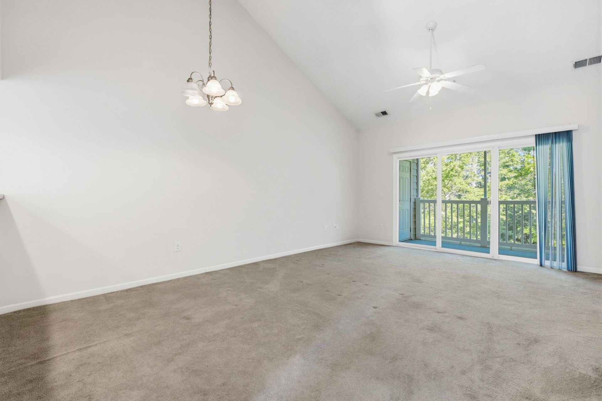 146 Scotch Broom Dr.  Photo 8