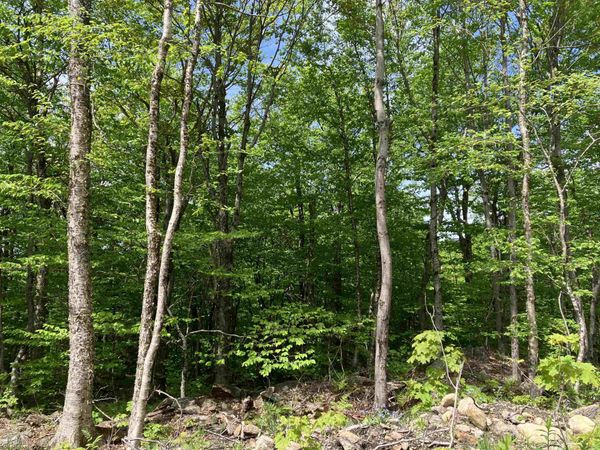 402 Fox Mt. Road, Unit 00CHM402.000, CHM403.000, Wilmington, VT 05363