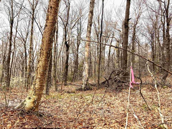 402 Fox Mt. Road, Unit 00CHM402.000, CHM403.000, Wilmington, VT 05363