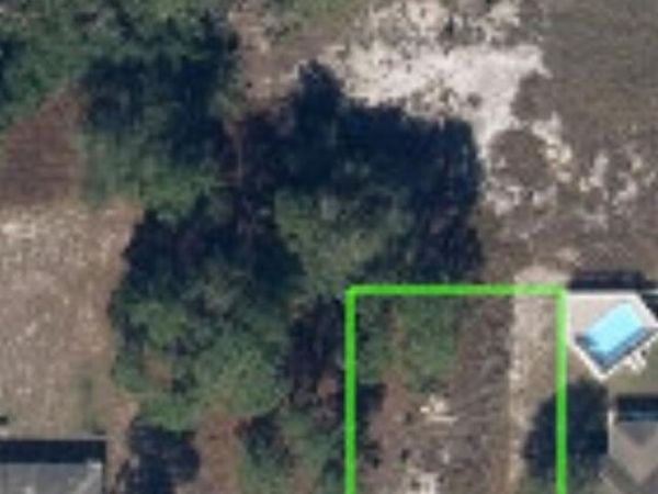 232 Silver Avenue, Lake Placid, FL 33852
