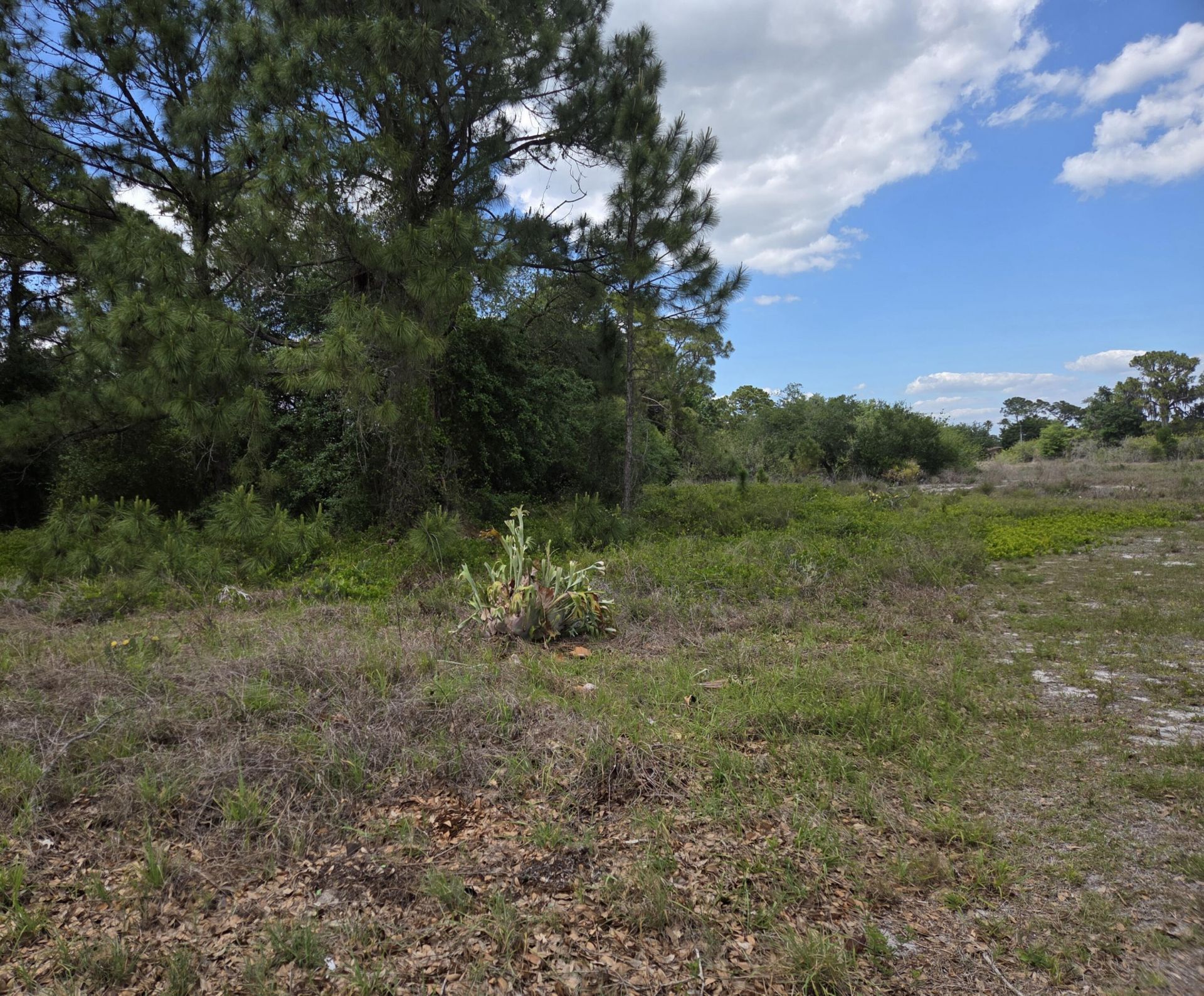 232 Silver Avenue, Lake Placid, FL 33852 Photo