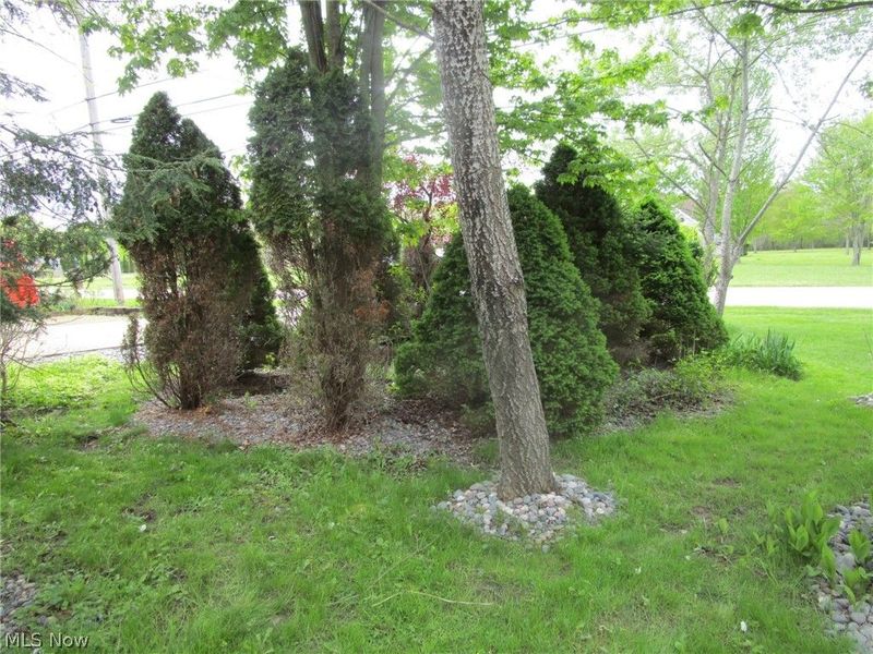 155 Rome Rock Creek Road, Roaming Shores, OH 44084 Photo 43