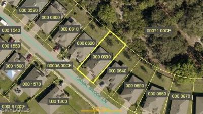 10548 Canal Brook Ln, Lehigh Acres, FL 33936 Photo