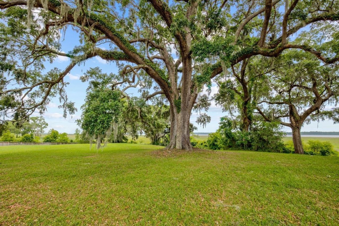 845 Commanders Island Rd.  Photo 48