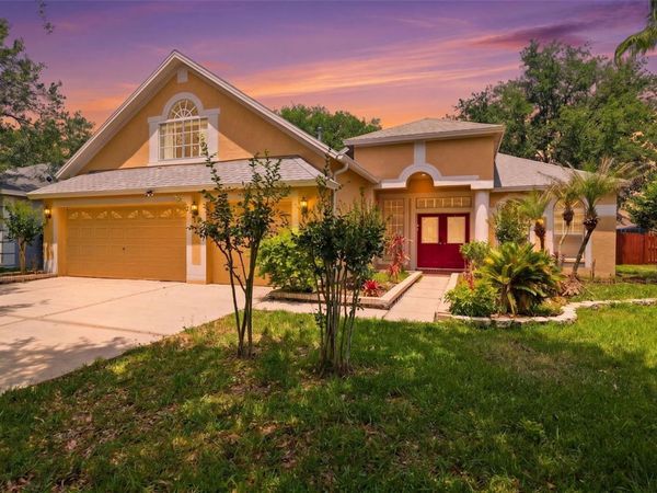 10209 SHADOW BRANCH DRIVE , TAMPA, FL 33647
