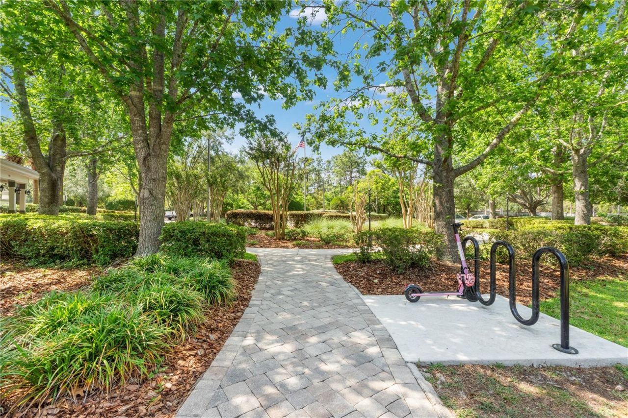 3942 Brandamore Place, Spring Hill, FL 34609 Photo