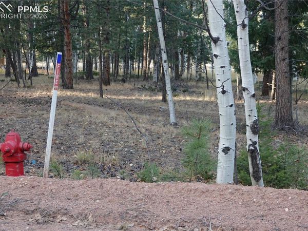 1360 Windflower Lane, Woodland Park, CO 80863