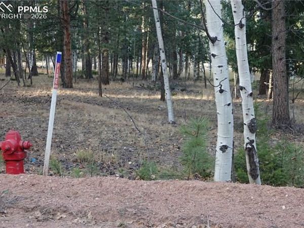 1360 Windflower Lane, Woodland Park, CO 80863