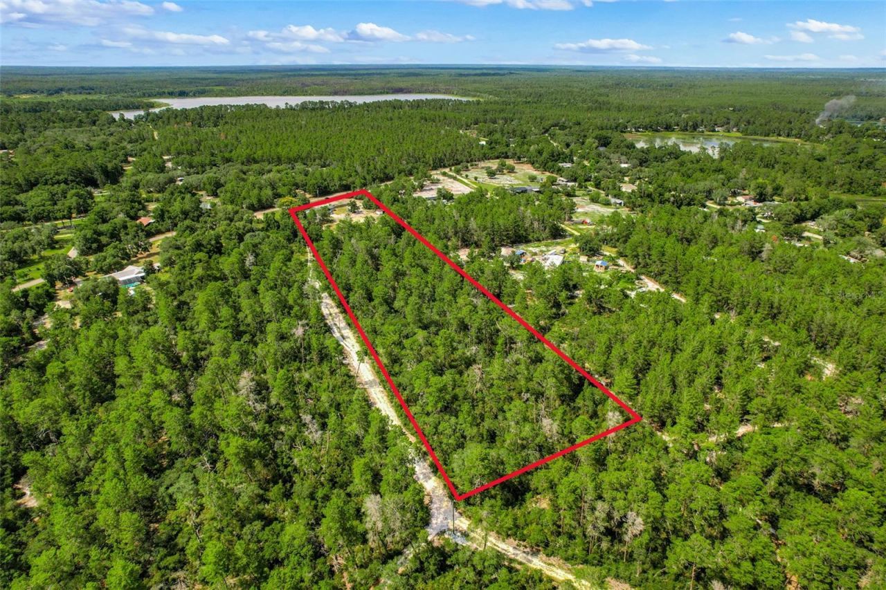 26106 Fishermans Road, Paisley, FL 32767 Photo
