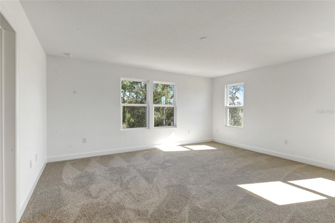 1010 Cloud Ridge Court , Mount Dora, FL 32757 Photo