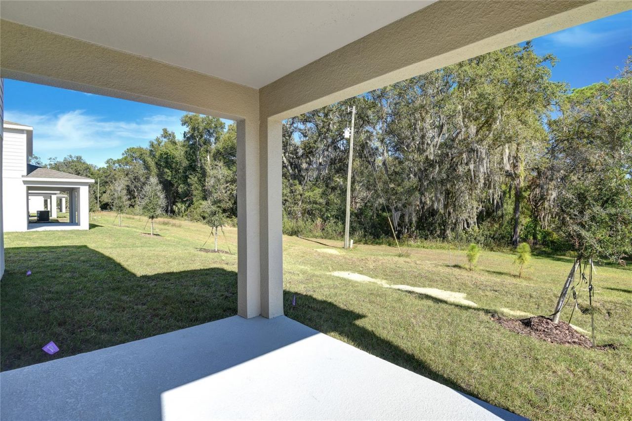 1010 Cloud Ridge Court , Mount Dora, FL 32757 Photo