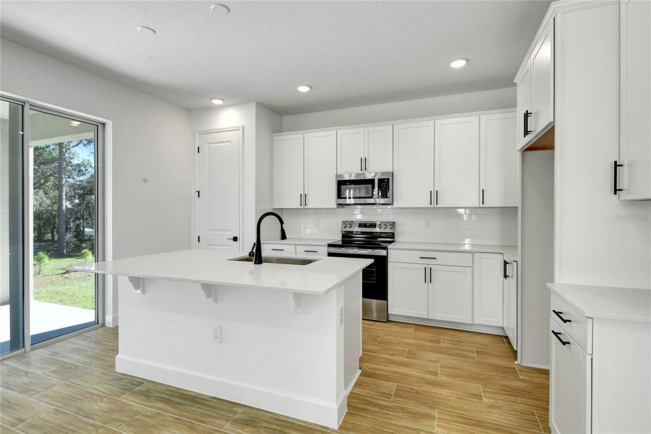1010 Cloud Ridge Court , Mount Dora, FL 32757 Photo