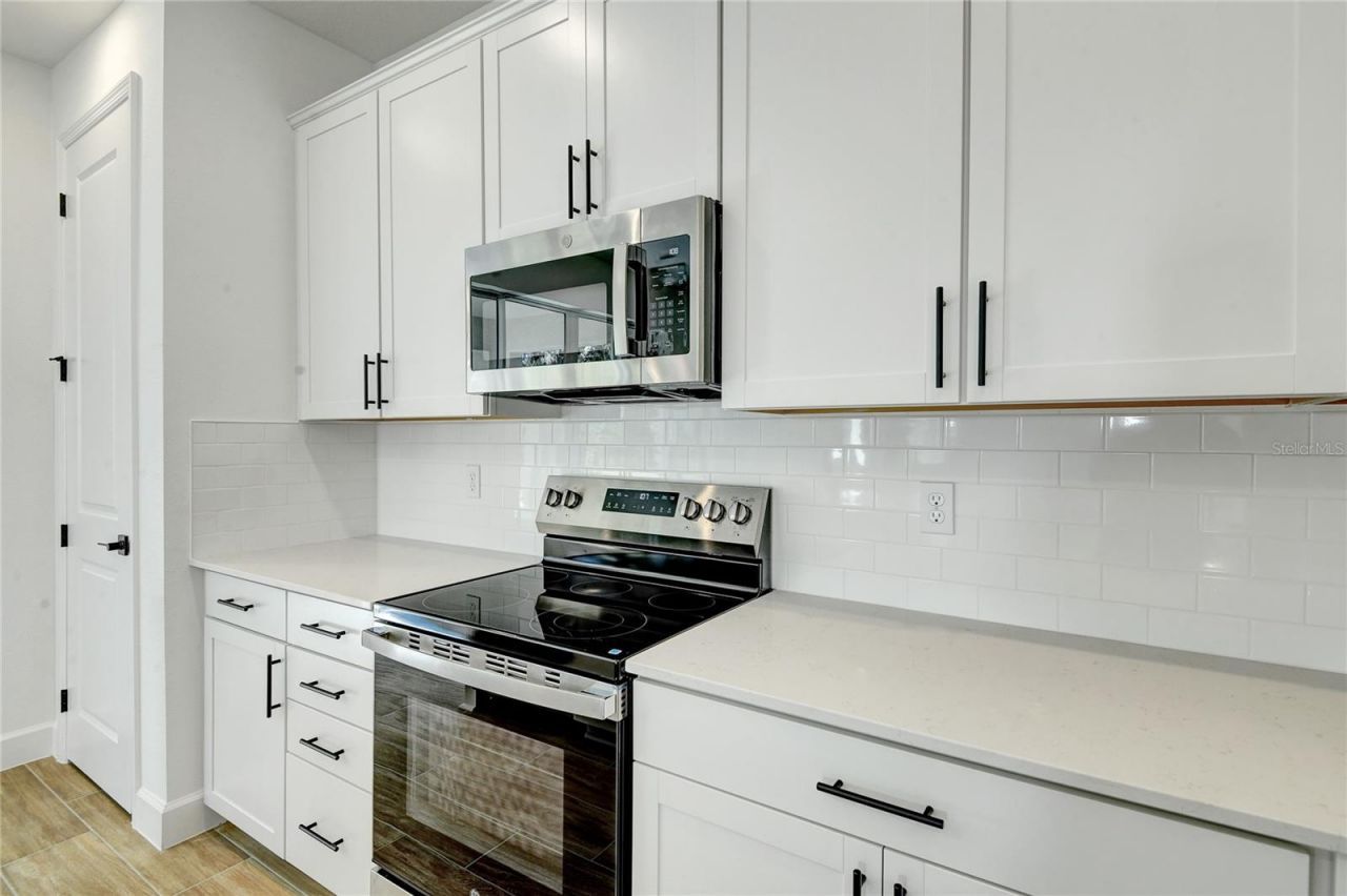 1010 Cloud Ridge Court , Mount Dora, FL 32757 Photo