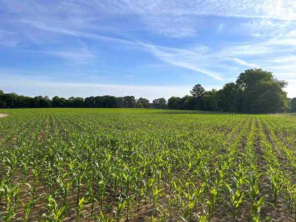 11385 18 HWY, Bolivar, TN 38008