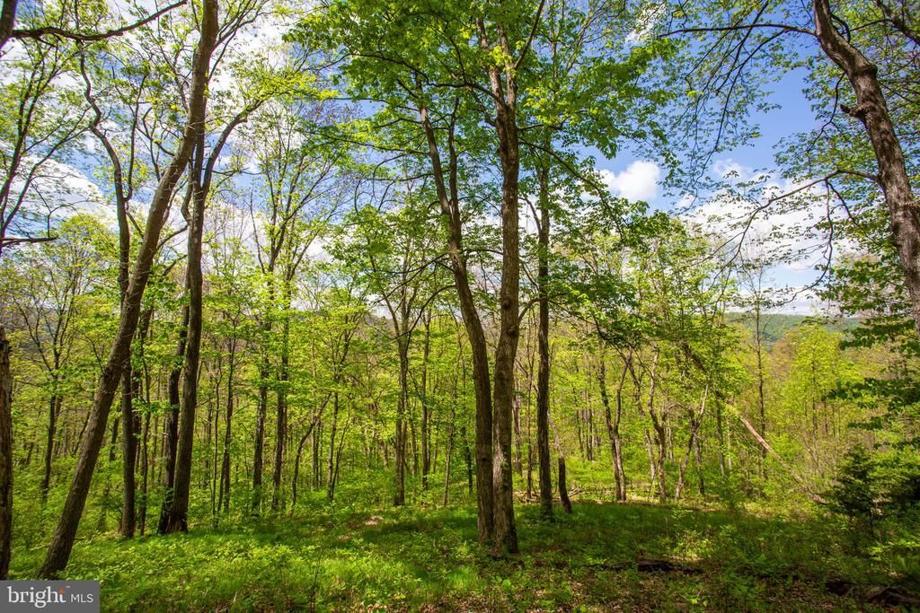 0 CHURCH MOUNTAIN LANE, FULKS RUN, VA 22830