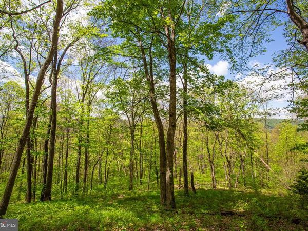 0 CHURCH MOUNTAIN LANE, FULKS RUN, VA 22830